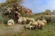 unknow artist, Sheep 111